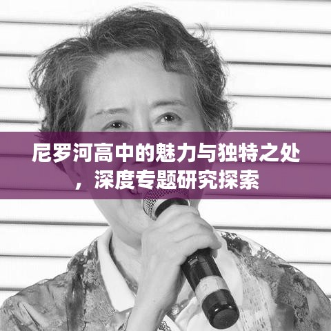 尼羅河高中的魅力與獨特之處,深度專題研究探索