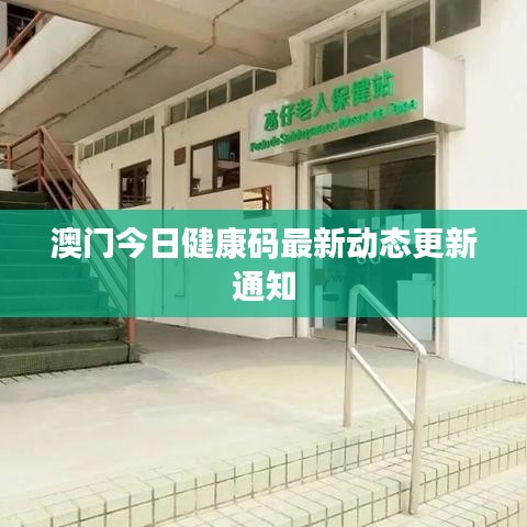 澳門今日健康碼最新動態更新通知