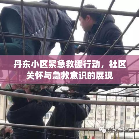 丹東小區(qū)緊急救援行動,社區(qū)關(guān)懷與急救意識的展現(xiàn)