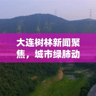 大連樹林新聞聚焦，城市綠肺動態更新