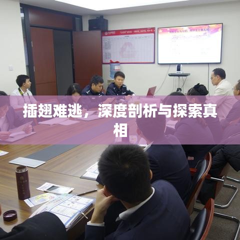 插翅難逃,深度剖析與探索真相