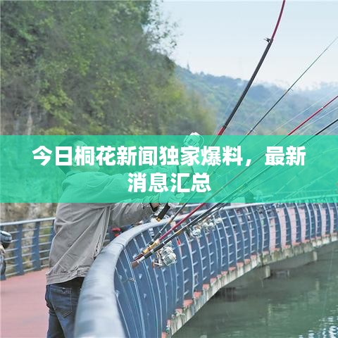 今日桐花新聞獨家爆料，最新消息匯總