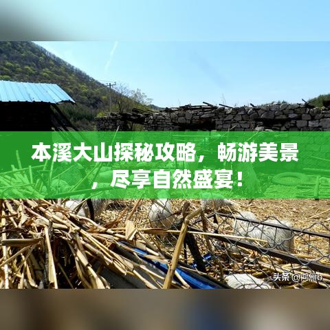 本溪大山探秘攻略,暢游美景,盡享自然盛宴!