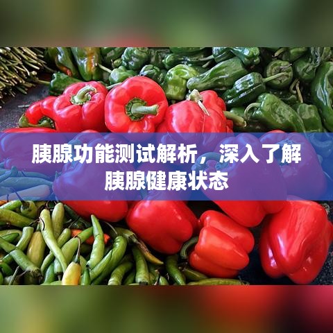 胰腺功能測試解析,深入了解胰腺健康狀態