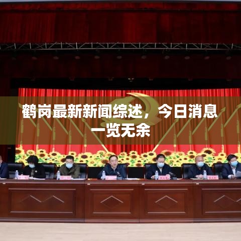 鶴崗最新新聞綜述,今日消息一覽無余