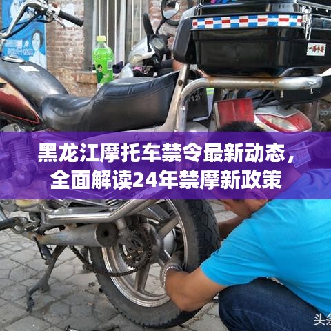黑龍江摩托車禁令最新動態，全面解讀24年禁摩新政策