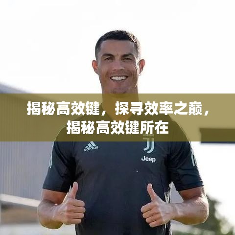 揭秘高效鍵,探尋效率之巔,揭秘高效鍵所在