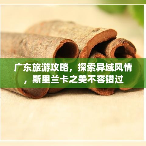 廣東旅游攻略，探索異域風情，斯里蘭卡之美不容錯過