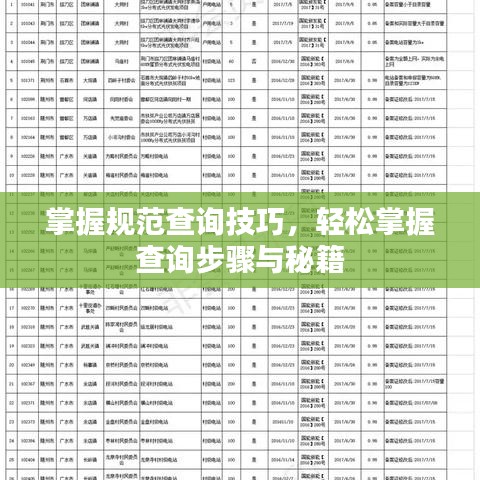 掌握規范查詢技巧，輕松掌握查詢步驟與秘籍