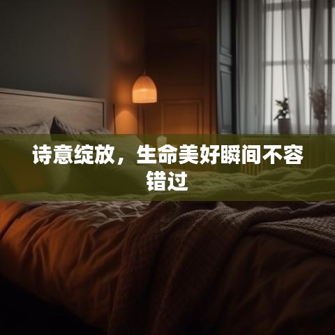 詩意綻放,生命美好瞬間不容錯過