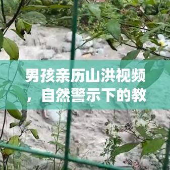 男孩親歷山洪視頻,自然警示下的教育意義與重要性
