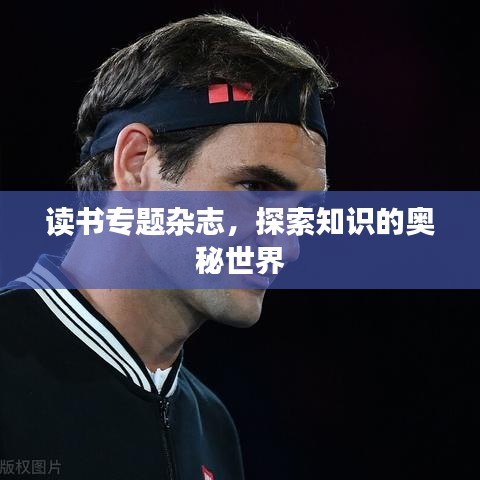 讀書專題雜志,探索知識的奧秘世界