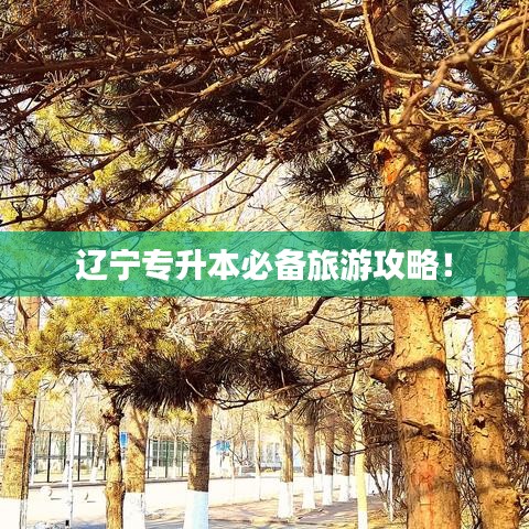 遼寧專升本必備旅游攻略！