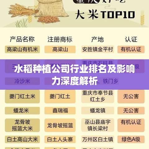 水稻種植公司行業排名及影響力深度解析