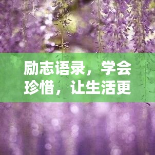 勵(lì)志語錄,學(xué)會(huì)珍惜,讓生活更美好