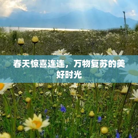 春天驚喜連連,萬物復蘇的美好時光