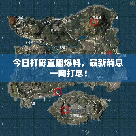 今日打野直播爆料,最新消息一網打盡!