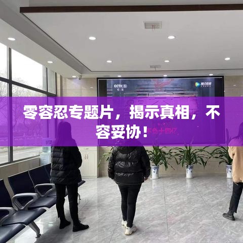 零容忍專題片,揭示真相,不容妥協!