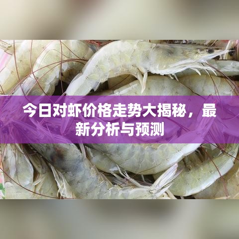 今日對蝦價格走勢大揭秘,最新分析與預測