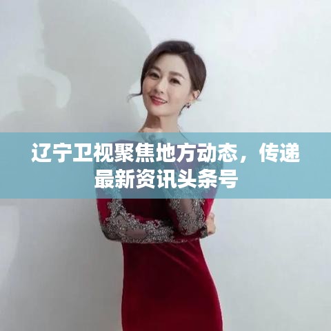 遼寧衛視聚焦地方動態，傳遞最新資訊頭條號