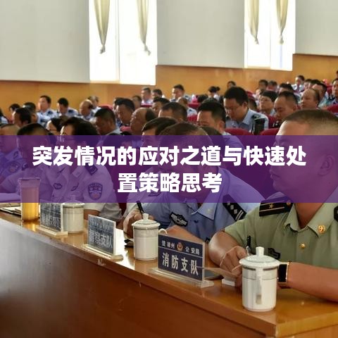 突發(fā)情況的應對之道與快速處置策略思考