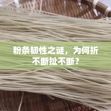 粉條韌性之謎,為何折不斷扯不斷?