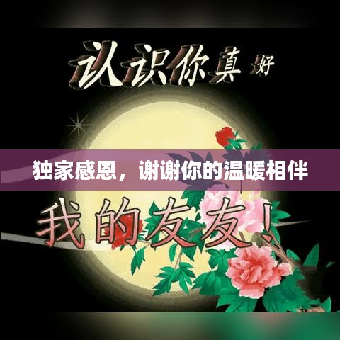 獨家感恩,謝謝你的溫暖相伴