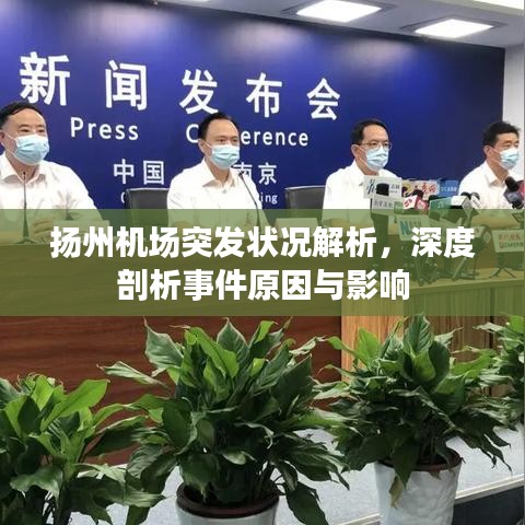 揚州機場突發狀況解析,深度剖析事件原因與影響