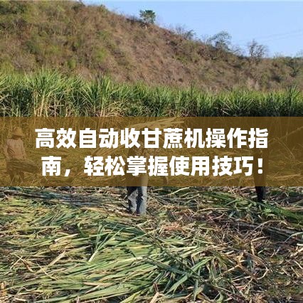 濟濟一堂 第3頁