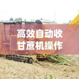 高效自動收甘蔗機操作指南,輕松掌握使用技巧!