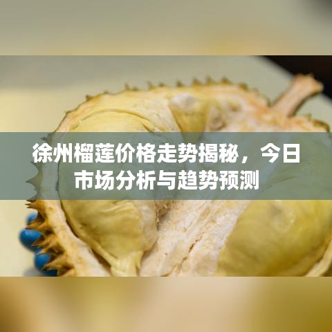 徐州榴蓮價(jià)格走勢(shì)揭秘，今日市場(chǎng)分析與趨勢(shì)預(yù)測(cè)
