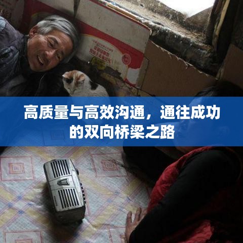 高質量與高效溝通,通往成功的雙向橋梁之路