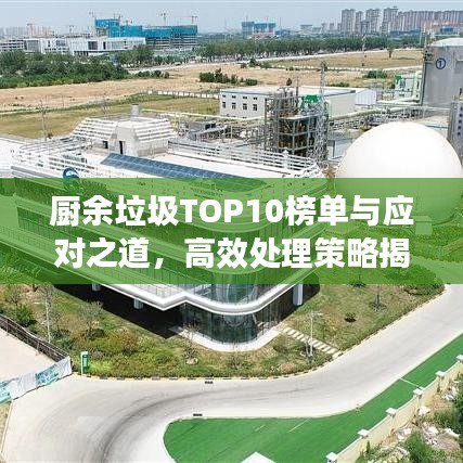 廚余垃圾TOP10榜單與應(yīng)對之道,高效處理策略揭秘