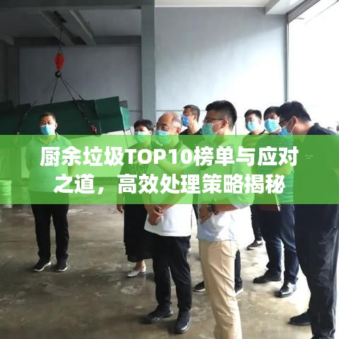 廚余垃圾TOP10榜單與應(yīng)對之道,高效處理策略揭秘