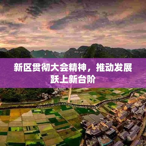 新區貫徹大會精神,推動發展躍上新臺階