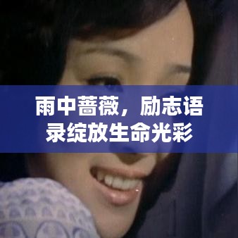 雨中薔薇,勵(lì)志語(yǔ)錄綻放生命光彩