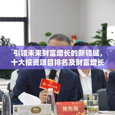 引領未來財富增長的新領域,十大投資項目排名及財富增長機會分析