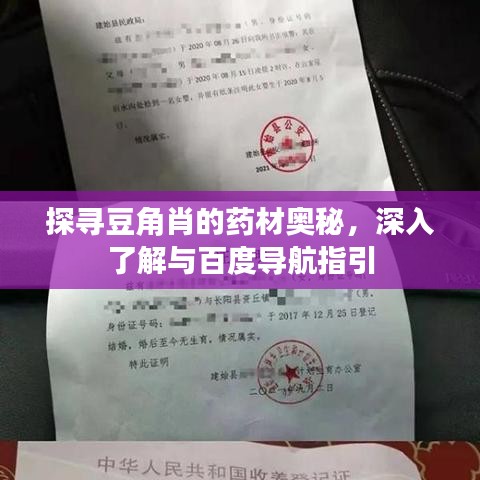 探尋豆角肖的藥材奧秘,深入了解與百度導(dǎo)航指引