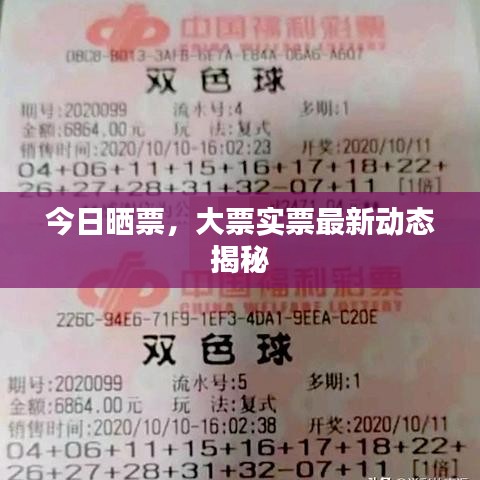 今日曬票，大票實票最新動態揭秘
