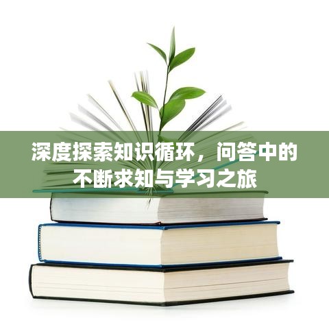 深度探索知識循環,問答中的不斷求知與學習之旅