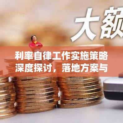 利率自律工作實施策略深度探討,落地方案與效果展望