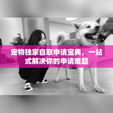 寵物獨家自取申請寶典，一站式解決你的申請難題