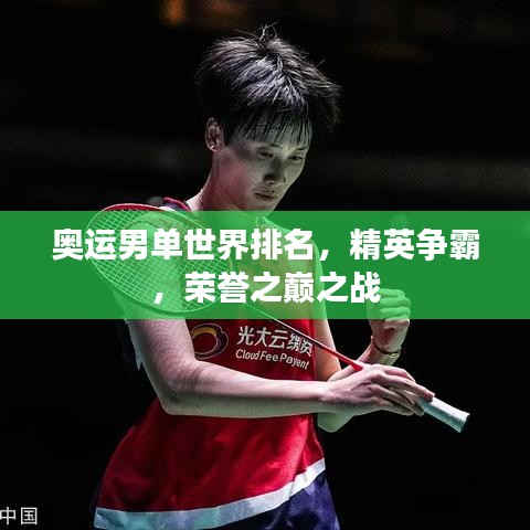 奧運(yùn)男單世界排名,精英爭(zhēng)霸,榮譽(yù)之巔之戰(zhàn)