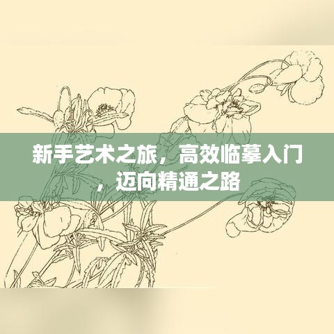 新手藝術之旅,高效臨摹入門,邁向精通之路