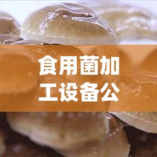 食用菌加工設備公司排行榜及行業影響力解析