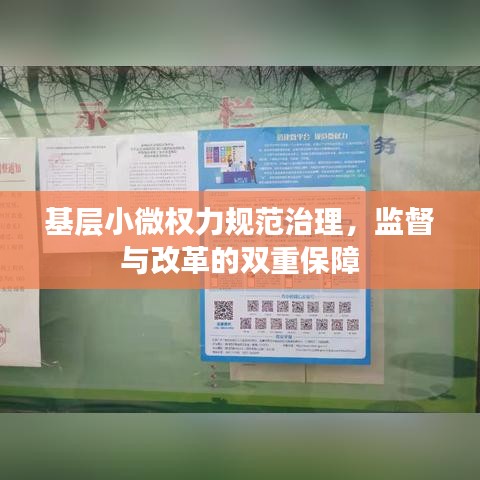 基層小微權(quán)力規(guī)范治理,監(jiān)督與改革的雙重保障