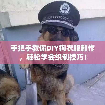 手把手教你DIY狗衣服制作，輕松學(xué)會(huì)織制技巧！