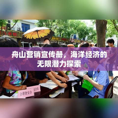 舟山營銷宣傳冊，海洋經濟的無限潛力探索