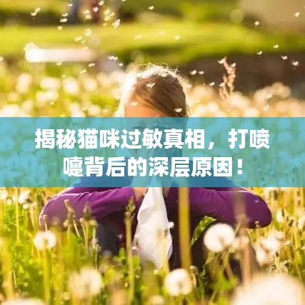 揭秘貓咪過敏真相，打噴嚏背后的深層原因！