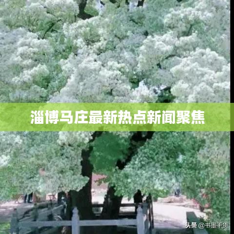 淄博馬莊最新熱點新聞聚焦